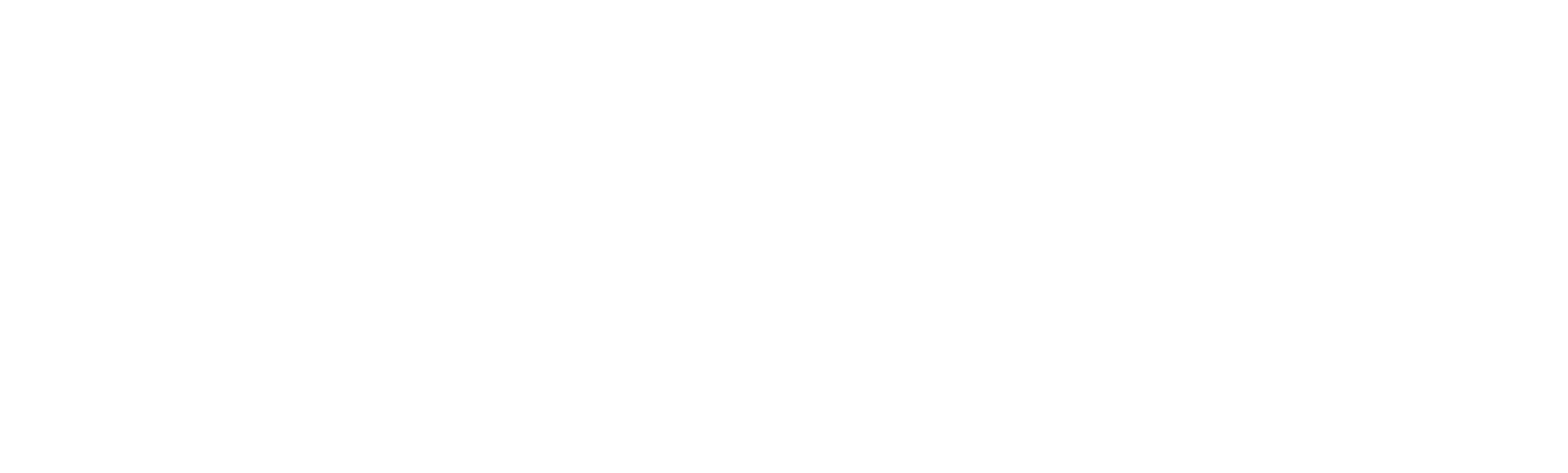 NISD white logo