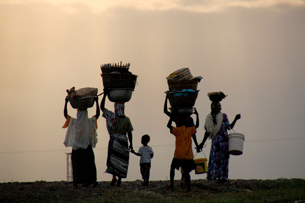 Building knowledge-sharing platforms to help farmers access market information, risk protection and good quality seed.